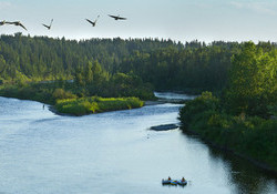 Red Deer River