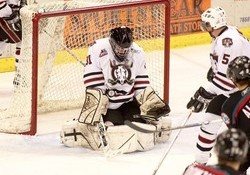 Red Deer Rebels Hockey Team